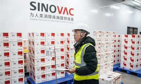 Tiêm 3 mũi vaccine Sinovac vẫn không ngăn được biến thể Omicron