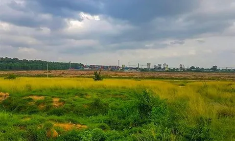 Thành phố Hồ Chí Minh hủy bỏ 108 dự án không chịu triển khai