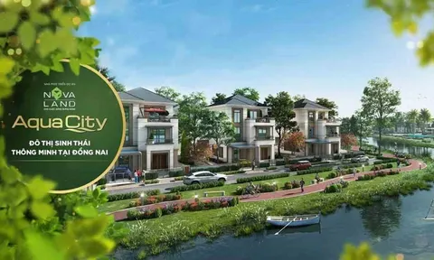 Ba công ty của Tập đoàn Novaland bị xử phạt hé lộ nhiều điều về pháp lý dự án Aqua City