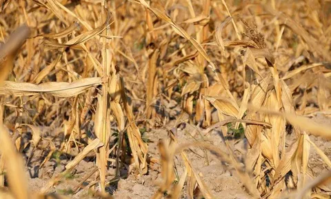 Argentina: Bài học né hạn cho Việt Nam