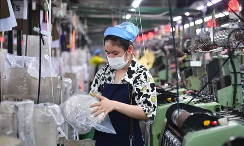 Ngân hàng Thế giới hỗ trợ Việt Nam phục hồi kinh tế sau Covid-19