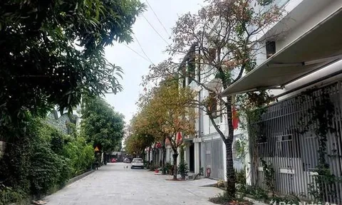 Nghệ An: Chỉ đạo điều tra sai phạm tại Dự án Cụm dân cư Trường Sơn