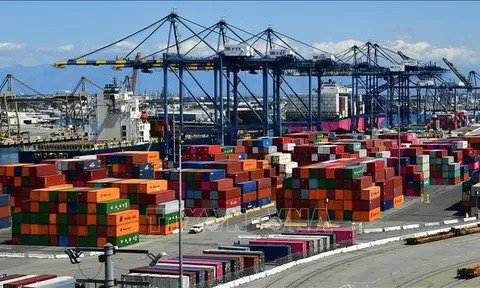 Dự báo thế giới 2022: Sẵn sàng quay lại quỹ đạo tăng trưởng