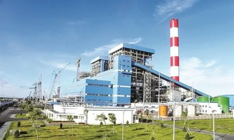 Công ty CP Nhiệt điện Phả Lại (PPC) bị phạt và truy thu thuế hơn 39 tỷ đồng