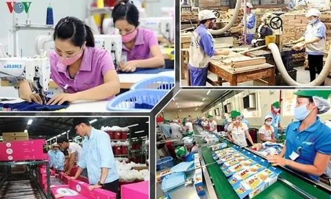 Kỳ vọng bức tranh sáng của hoạt động xuất khẩu năm 2022