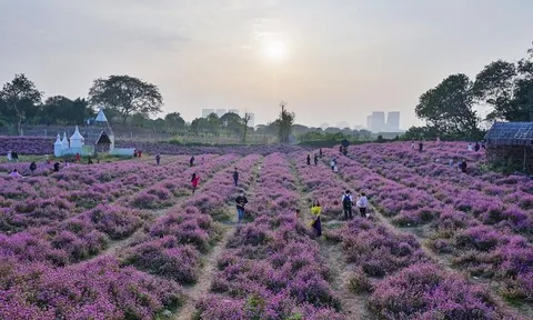 Giới trẻ đổ về vườn hoa ở Hà Nội chụp ảnh đầu năm