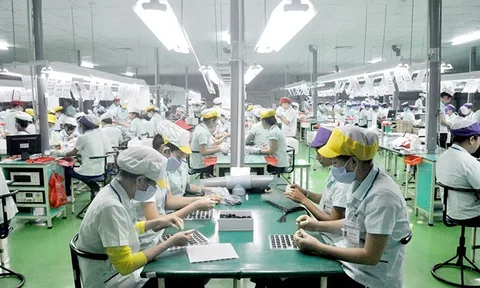 Thị trường lao động 2022: Làm gì để doanh nghiệp 'sống', người lao động có việc làm?