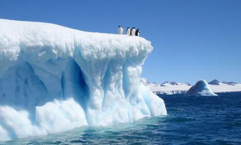 Bất ngờ phát hiện sự sống kỳ ảo dưới thềm băng dày ở Nam Cực