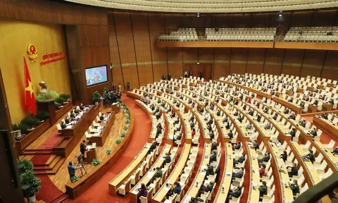 Chính phủ báo cáo Quốc hội về biến chủng Omicron, vụ kit test Việt Á