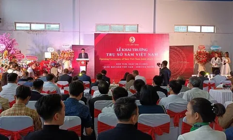 Thực hư Công ty Cổ phần Đầu tư sâm Việt Nam có chục ha sâm Ngọc Linh ở Kon Tum