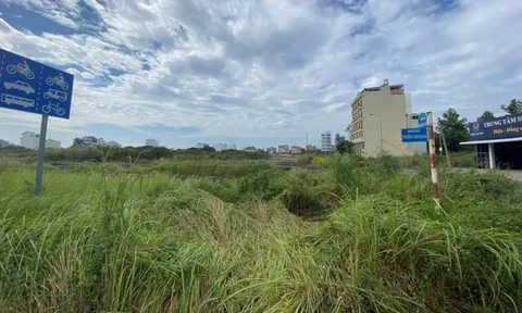 TP.HCM: Có dấu hiệu “trục lợi“ từ đất công khi xây dựng Bệnh viện Đa khoa Ngọc Tâm?