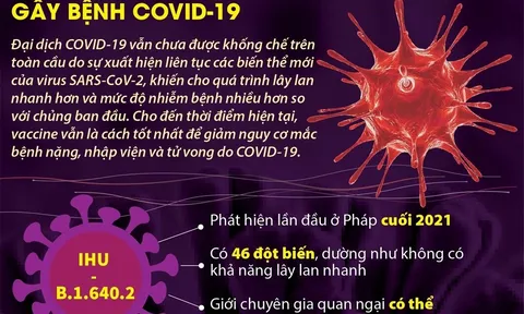 Các biến thể chính của virus SARS-CoV-2 gây bệnh COVID-19