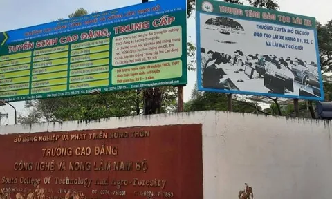 Trường CĐ Công nghệ và Nông lâm Nam Bộ đào tạo lái xe sai quy định