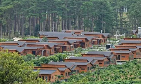 Hé lộ chủ đầu dự án The Tropicana Garden ở Bảo Lâm bị điều tra sai phạm