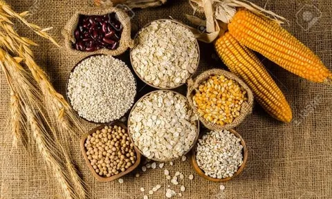 Giá lương thực trên thế giới tăng lên mức cao nhất từ năm 2011