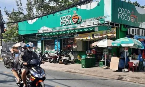 Thành phố Hồ Chí Minh: Đất công tại quận Gò Vấp cho thuê và bỏ không lãng phí