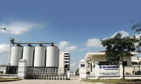 Halico báo lỗ năm thứ 6 liên tiếp, nâng lỗ lũy kế lên 468 tỷ