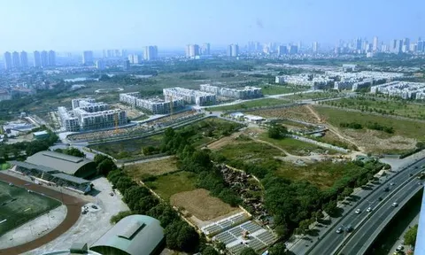 Dân Thanh Liệt tố Tập đoàn Bitexco phá nghĩa trang Đồng Vải