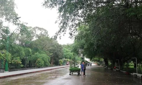 Một doanh nghiệp bị cấm đấu thầu 3 năm vì gian lận