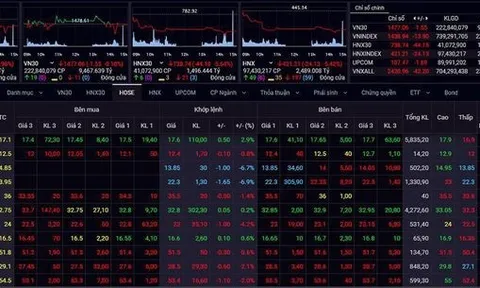 Gần 150 mã giảm sàn, VN-Index tiếp tục 'bốc hơi' 14 điểm