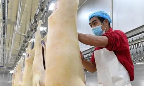 Đại dịch COVID-19 tác động kéo dài lên thị trường lao động