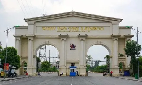 Lideco (NTL) bị xử phạt do vi phạm công bố thông tin