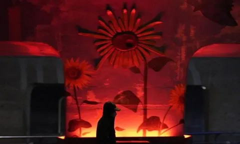 WHO: Omicron ít nghiêm trọng hơn nhưng không phải 'vaccine' tự nhiên