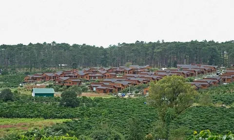 Lâm Đồng tạm dừng phân lô, tách thửa