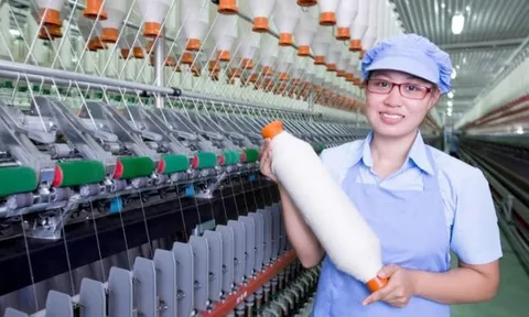 FTM lỗ thêm 223 tỷ đồng năm 2021, nguy cơ hủy niêm yết cận kề?