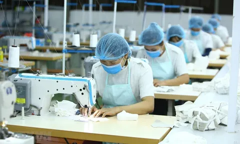 Số doanh nghiệp tại TPHCM hoạt động trở lại tăng gần 500%