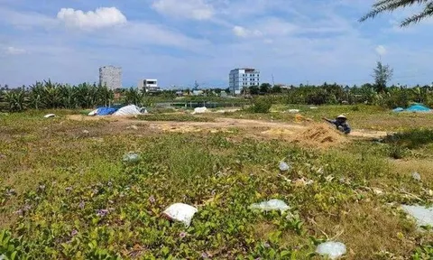 Công ty TNHH Chí Thành nợ như 'chúa chổm'