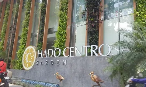 Hà Đô bị xử phạt thuế, điều chỉnh giảm lỗ hơn 19 tỷ đồng