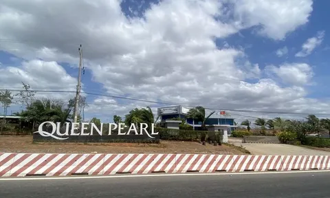 Vì sao loạt cựu lãnh đạo tỉnh Bình Thuận bị bắt?