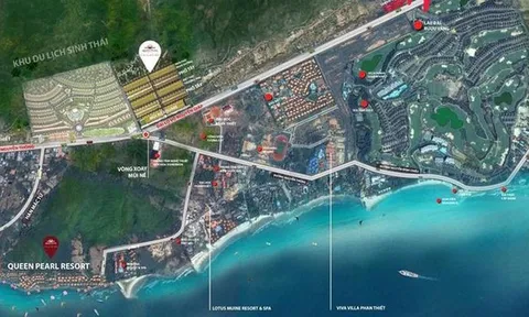 Biết gì về Cty Tân Việt Phát khiến loạt lãnh đạo Bình Thuận xộ khám?