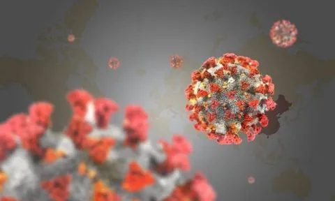 Biến chủng lai giữa Omicron và Delta có đáng lo ngại?