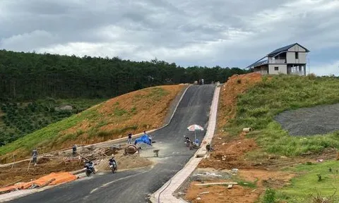 Đằng sau sự thật 'hiến' hàng chục hécta đất ở Lâm Đồng