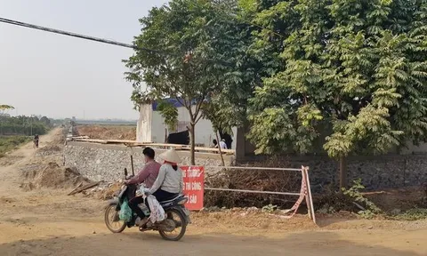 Doanh nghiệp 'ôm' hàng chục héc ta đất, bỏ hoang 14 năm