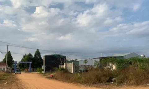 Nguyên phó phòng TN-MT huyện trúng đấu giá trọn gói 67 lô đất trái luật