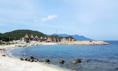 Ông “trùm” SunBay Park - Crystal Bay Nguyễn Đức Chi có góc khuất tai tiếng như thế nào?