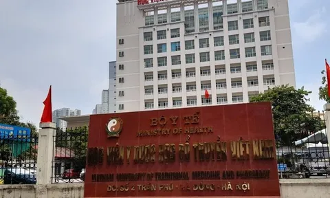 Học viện Y Dược học cổ truyền Việt Nam: Nhiều sai phạm