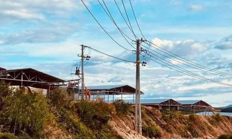 'Điểm mặt' loạt sai phạm hệ thống điện mặt trời áp mái ở Quảng Nam