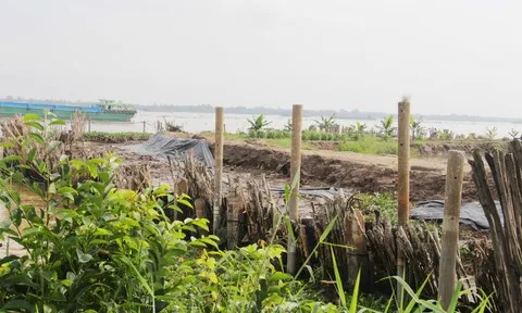 Dự án “lấn” sông Cổ Chiên: Chủ đầu tư không chấp nhận kết quả phân tích mẫu khoáng sản