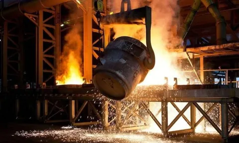 Lợi nhuận 'hạt tiêu' của 'ông lớn' kín tiếng Ngọc Thiên Global