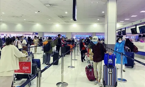 Cục Hàng không Việt Nam đề nghị sẵn sàng đưa công dân Việt Nam về nước