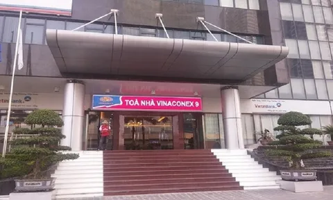 Vì sao Vinaconex 9 đối diện án hủy niêm yết cổ phiếu bắt buộc?