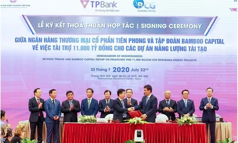 Những nhà băng đang hô "khắc nhập" cho "cây tre trăm đốt" Bamboo Capital lớn nhanh như thổi là ai?