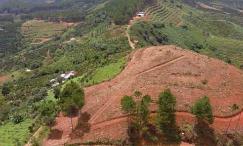 Công ty TNHH Mai Bình sử dụng 320 ha đất sai mục đích