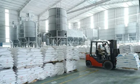 An Tiến Industries huy động vốn khi dòng tiền kinh doanh âm