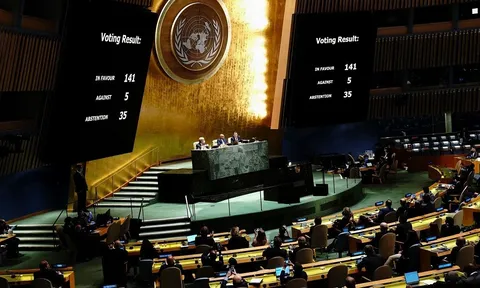 Việt Nam nêu lập trường về nghị quyết liên quan Ukraine của LHQ