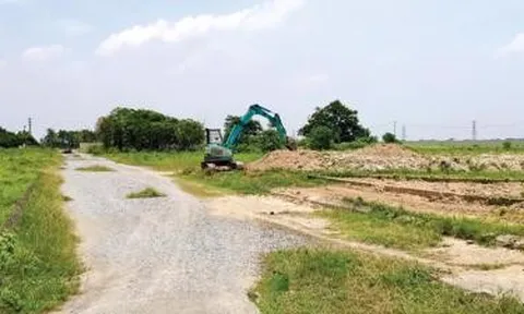 Doanh nghiệp 'ôm' hàng trăm nghìn m2 đất rồi để… hoang hóa